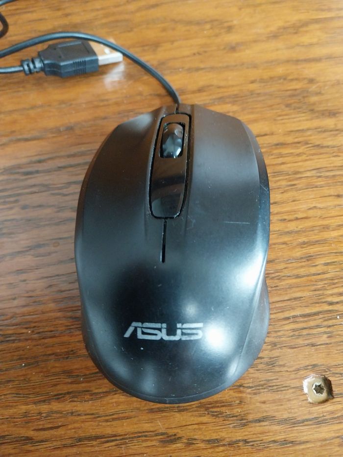 Souris filaire - photo numéro 2