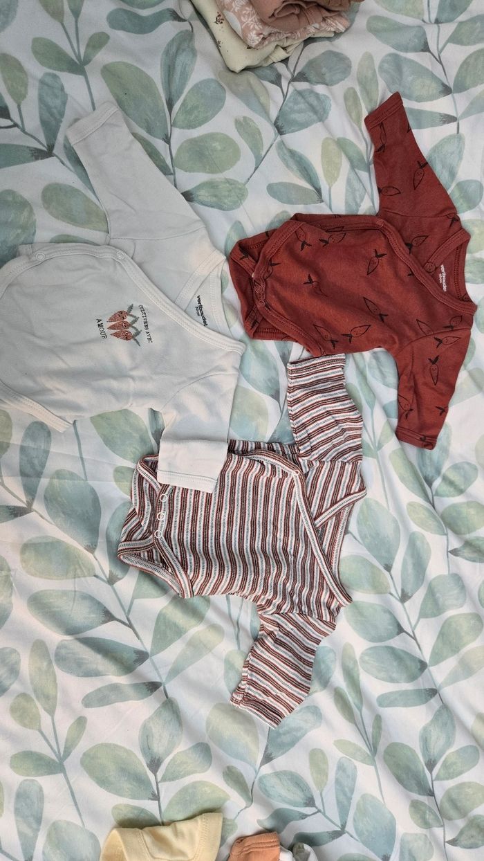 Lot bodies naissance fille Vertbaudet - photo numéro 3