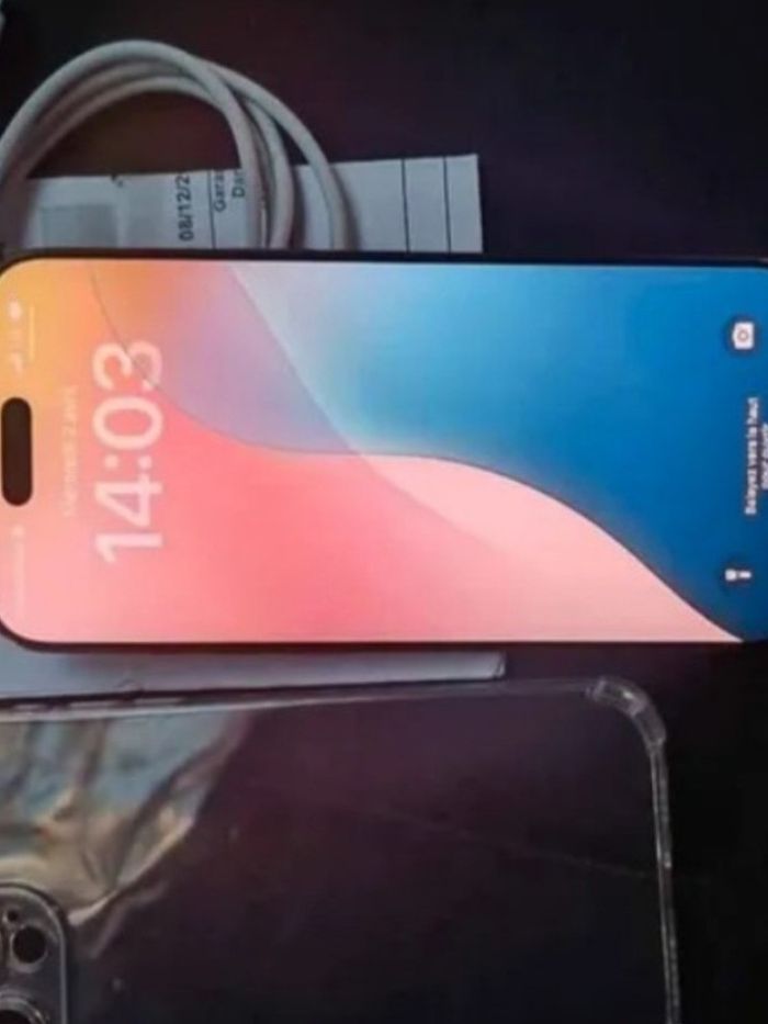 16 Pro Max 256 Go - photo numéro 2