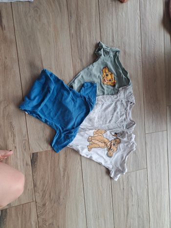 Lot bodies Disney Roi Lion