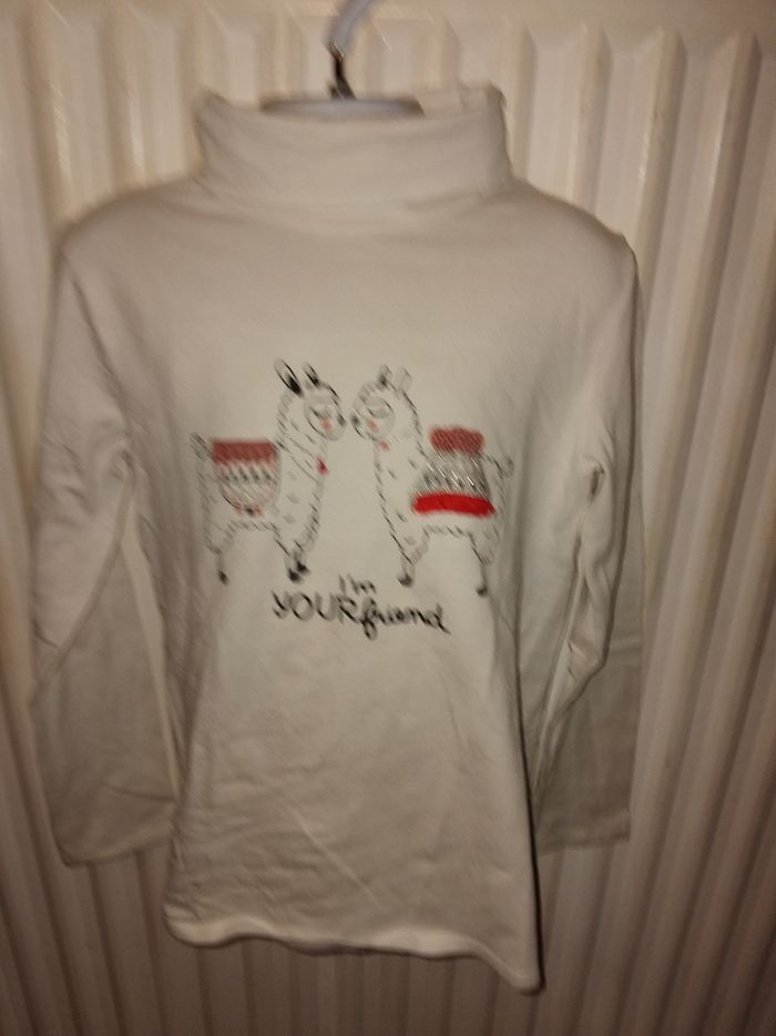 Sous pull fille taille 10 ans marque gemo