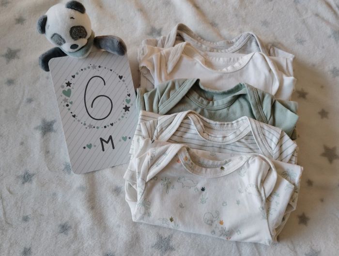 Lot de 5 bodies fin ML - Theme Dino - TAO