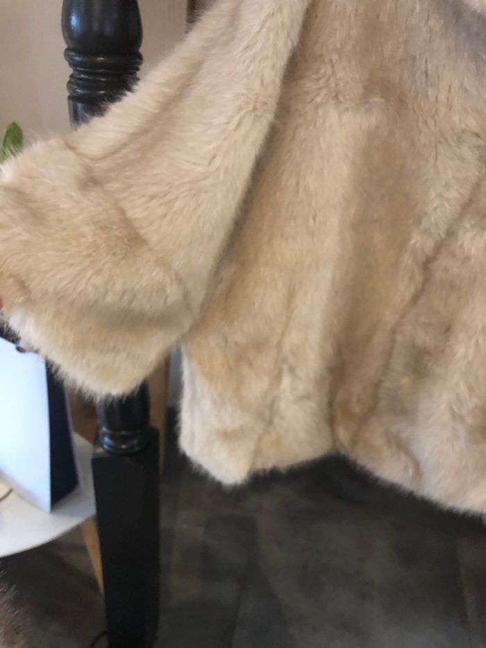 Manteau fourrure - photo numéro 3