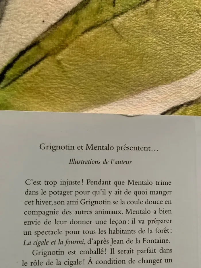 Livre grignotin et mentalo présente - photo numéro 2