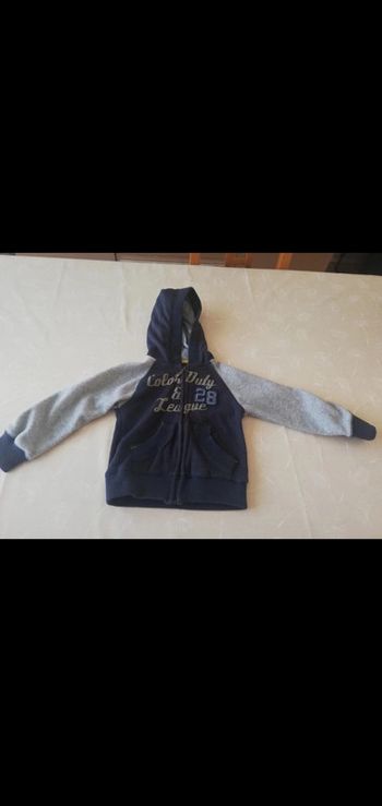 Gilet polaire Zippé à capuche marine/gris 3/4 ans Tex