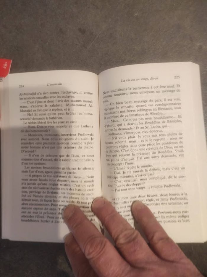 L'anomalie Hervé Le Tellier Folio 2023 - photo numéro 3