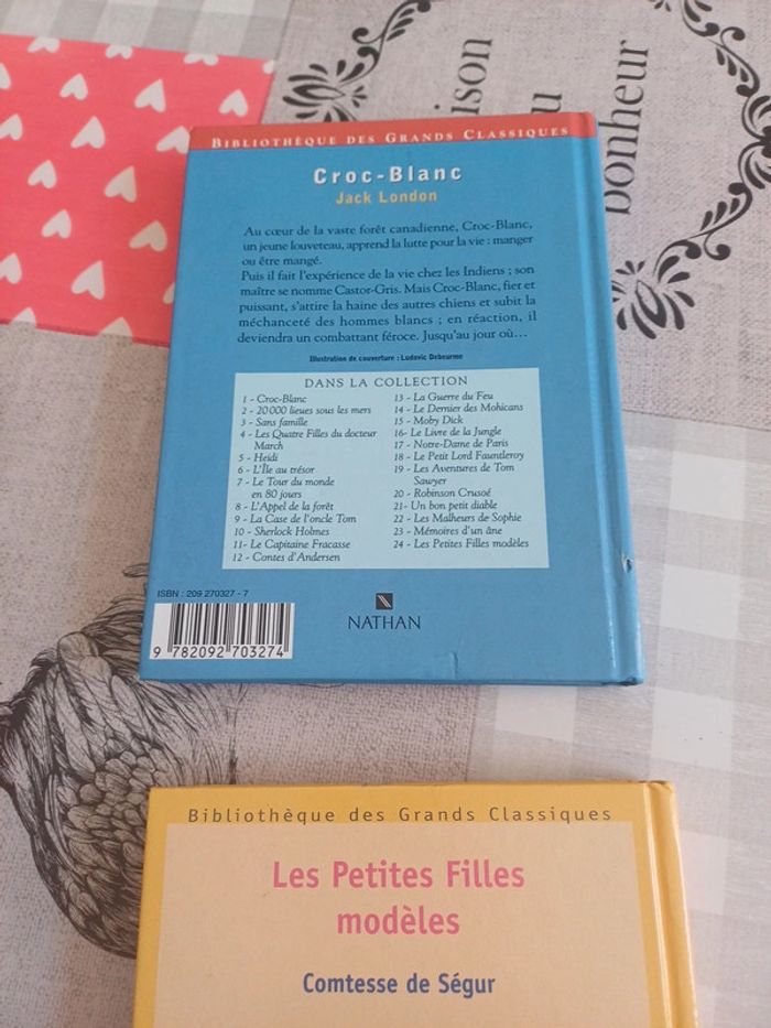 Livre - photo numéro 3
