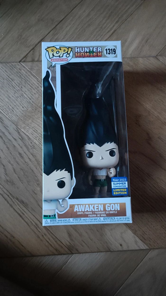 Funko pop awaken gon 1319