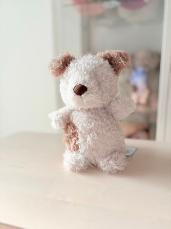 Jellycat little pup / chiot 