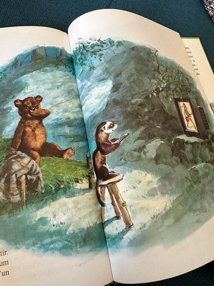 Livre Caroline et Boum Ermite Pierre Probst Hachette Jeunesse album multicolore couleurs - photo numéro 4