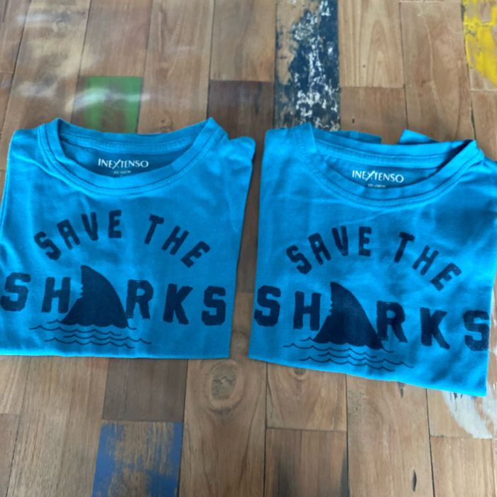 Tee-shirts 4 ans requin