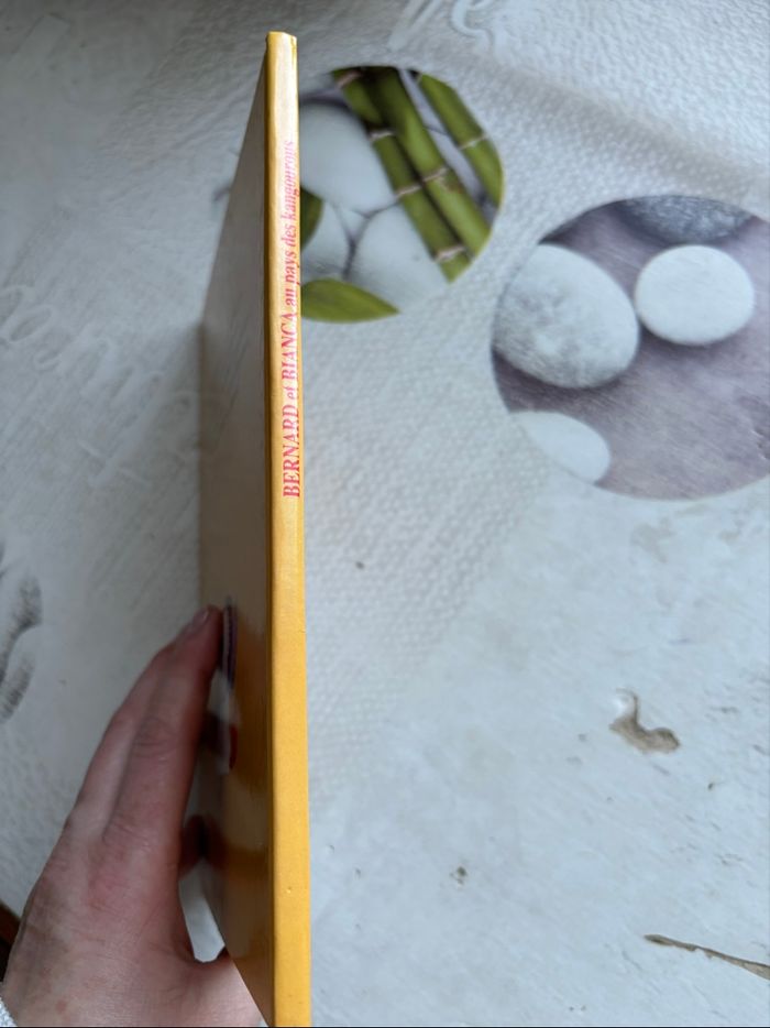 Livre Disney - photo numéro 6