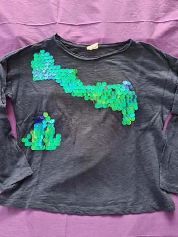 Tee-shirt manches longues Zara