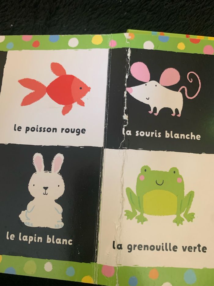 Livre - photo numéro 3