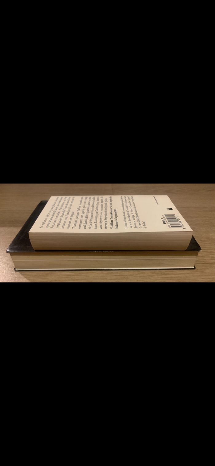 2livres sur toutankhamon de Christian Jacque - photo numéro 4