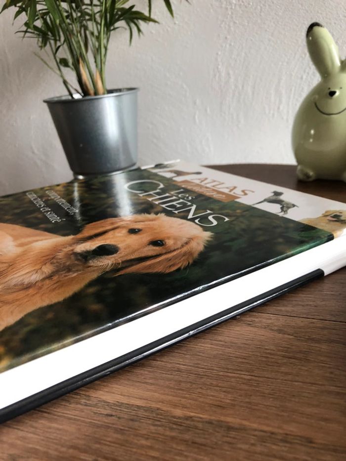Livre les chiens - photo numéro 5