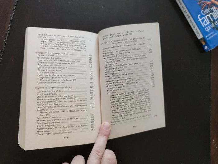 Comment penser chat - photo numéro 5