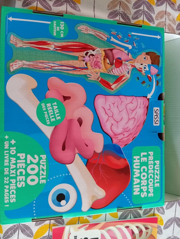 Puzzle corps humain - photo numéro 3