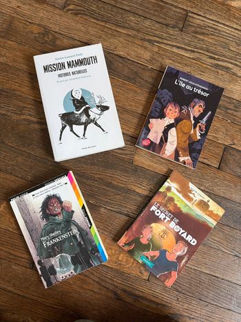 Lot 4 livres 8-12 ans Fort boyard, l’île aux trésors, mission mammouth et Frankenstein