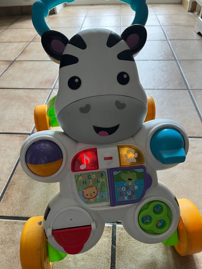 Trotteur zèbre - photo numéro 3