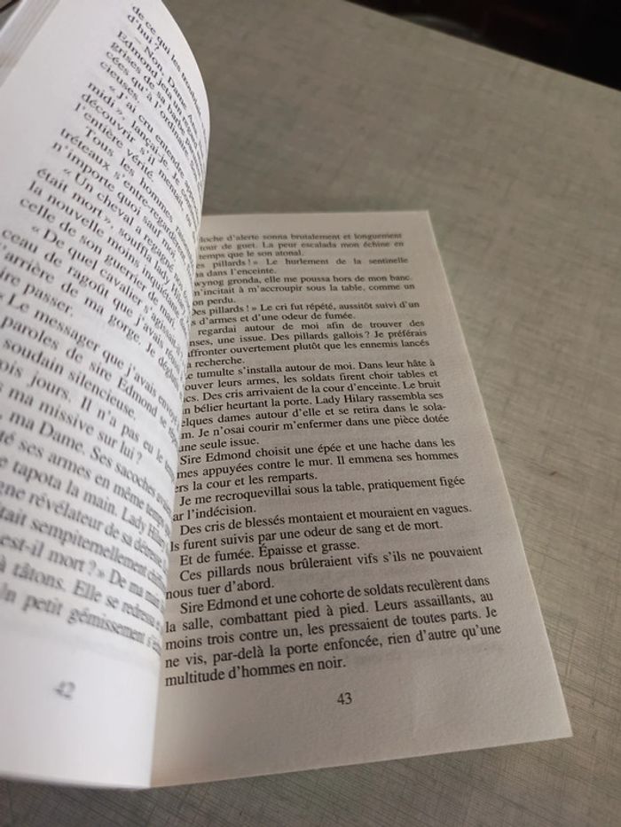 Livre les descendants de merlin 2 resmiranda - photo numéro 4