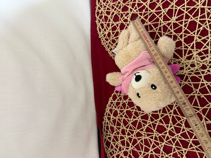 doudou ours déguisé - photo numéro 5