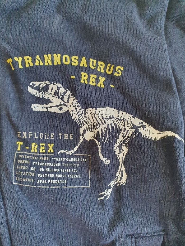 Gilet dinosaures 3ans - photo numéro 3