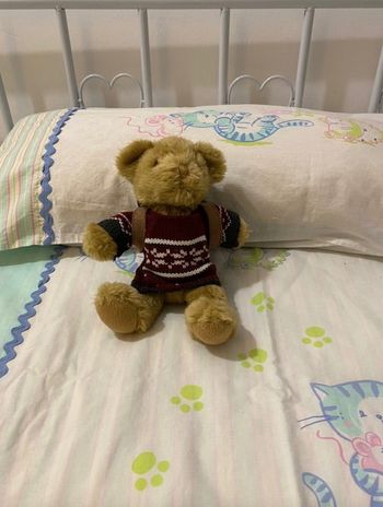 The Teddy Bear Collection - Ourson Tommy le Randonneur