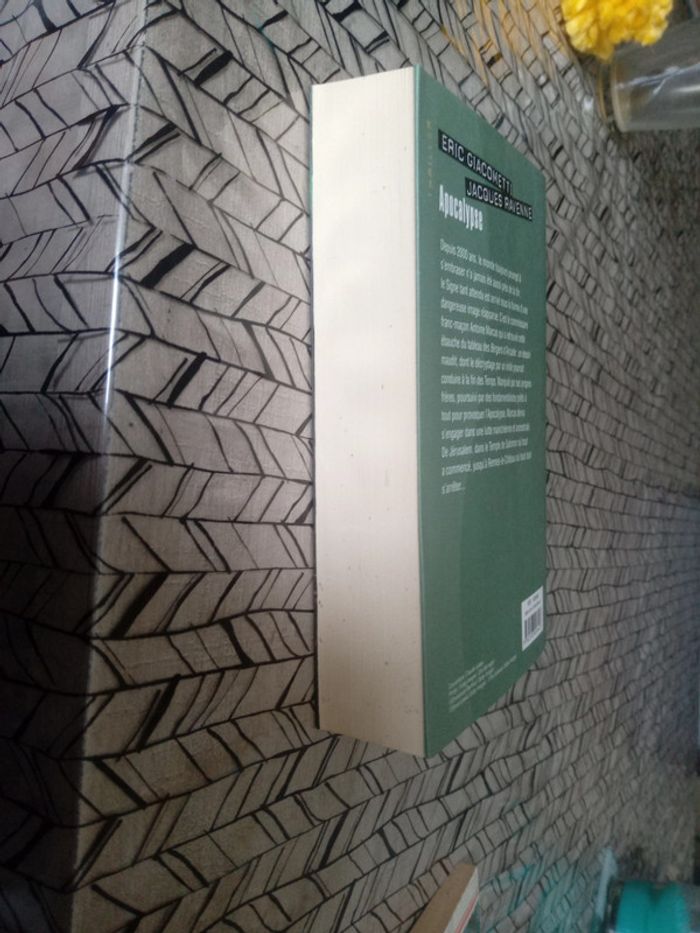 Roman : " Apocalypse ". - photo numéro 4