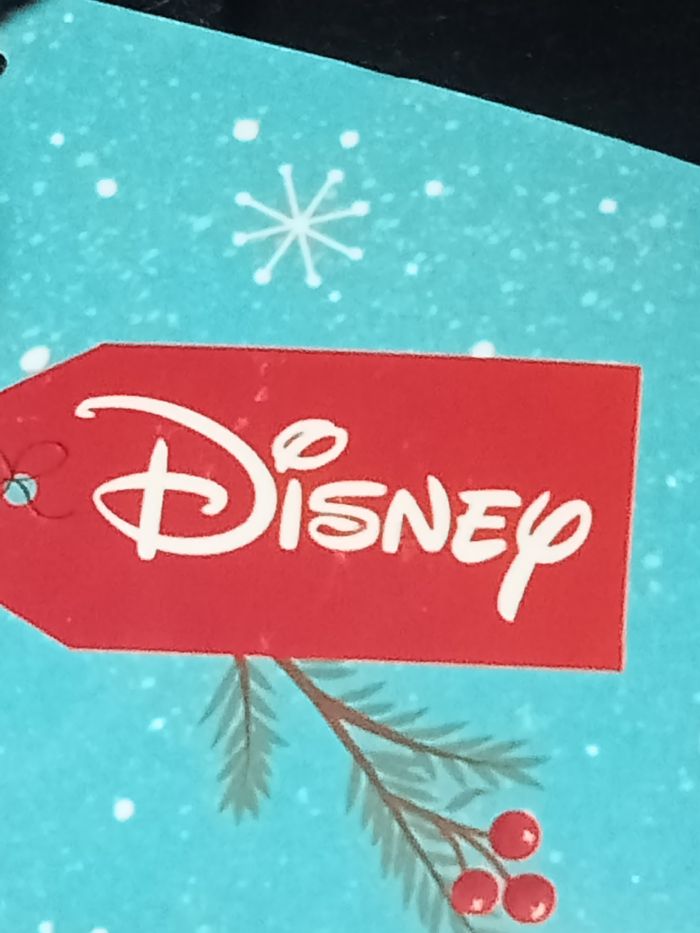 Mickey - photo numéro 5