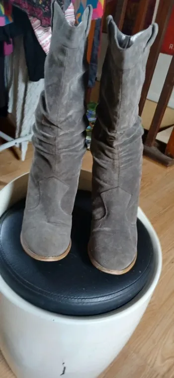 Botte grise
