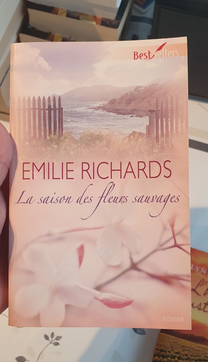 Susan Wiggs/ Emilie Richards - lot de 4 livres - photo numéro 6