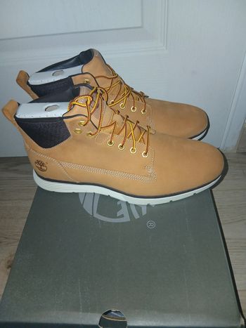 Timberland