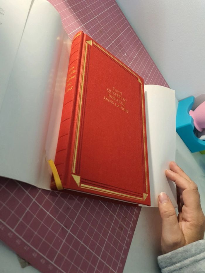 Disparue dans la nuit - photo numéro 3