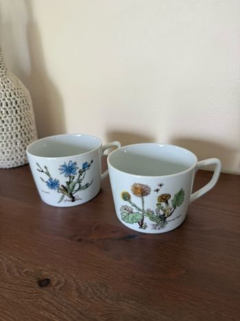 Duo de tasses motifs botanique - Alfoïdi