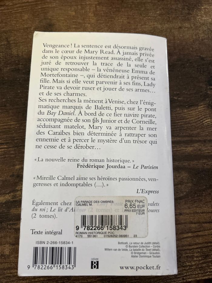 Lady pirate - photo numéro 2