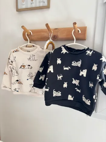 Lot sweats chiens