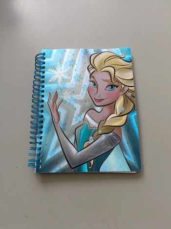 Cahier pour écrire la reine des neiges
