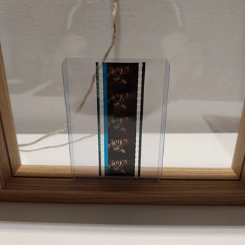 Pellicule démon slayer akaza