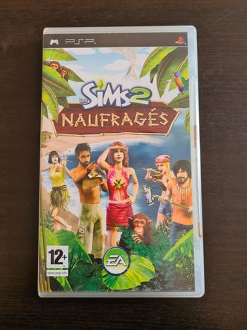 Jeu Sims