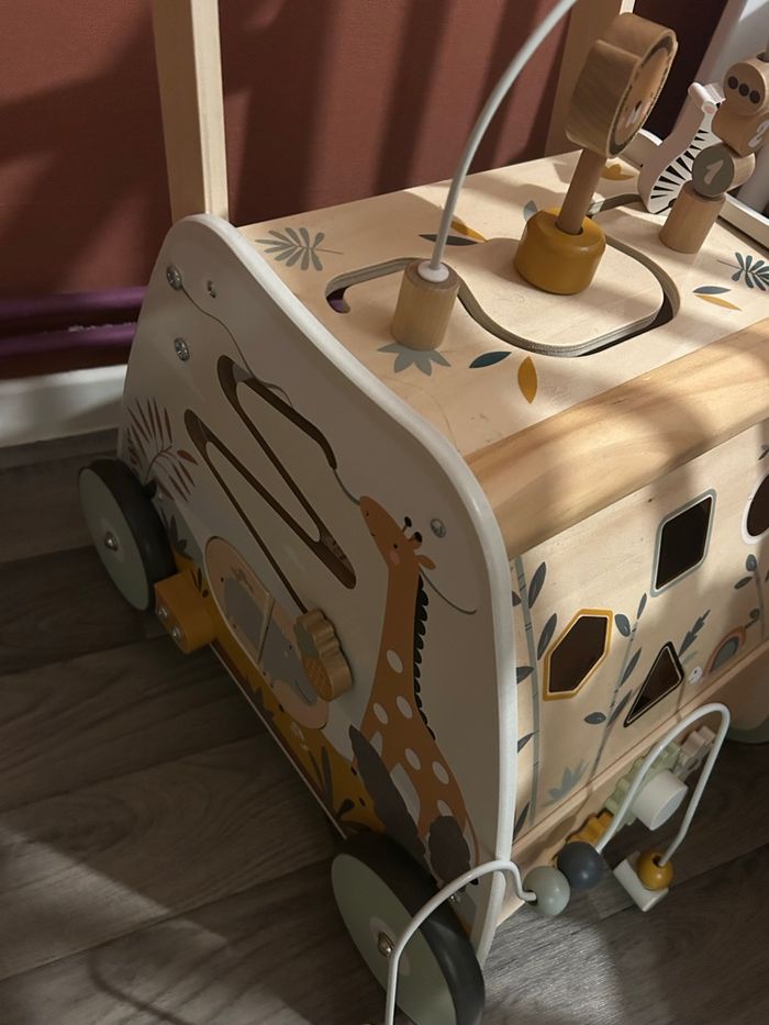 Chariot de marche Tanzanie - photo numéro 3