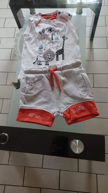 Ensemble short teeshirt  9 mois