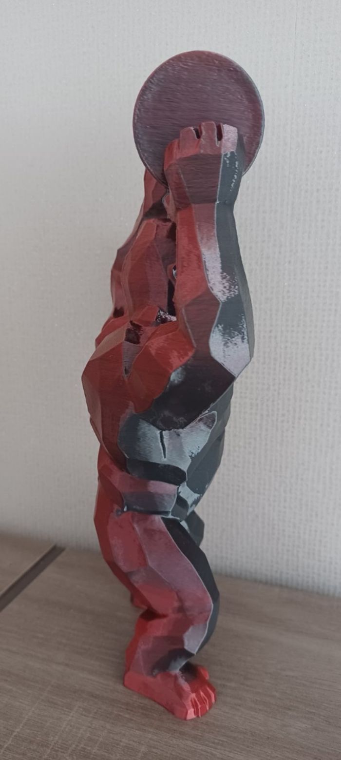 Gorille - photo numéro 6