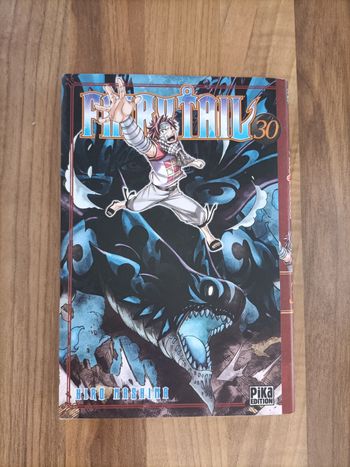 Livre Manga Fairy Tail tome 30