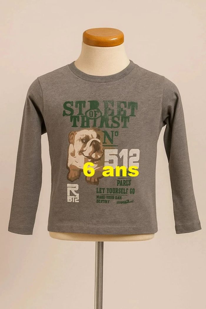 Tee shirt manche longue gris motif multicolore RG 512 Taille 6 ans