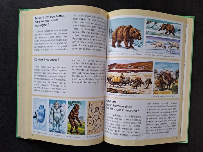 Lot de 2 livres questions/réponses sur les animaux en bon état - photo numéro 9