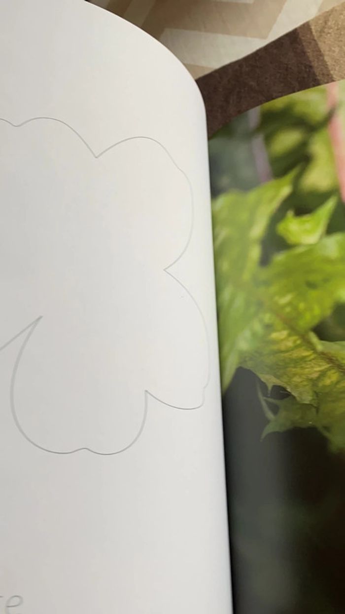 Livre mon herbier 48 plantes à connaître, à collectionner et à conserver tana éditions - photo numéro 4