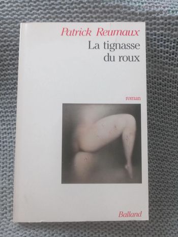 Patrick Reumaux - La tignasse du Roux