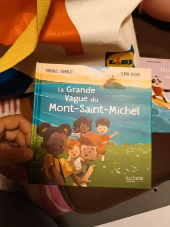 Livre mac do neuf