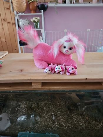 Maman chien et bébés